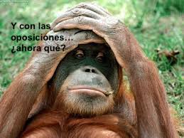 desastre-oposiciones