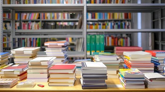 La bibliografía. Cómo elegirla correctamente.