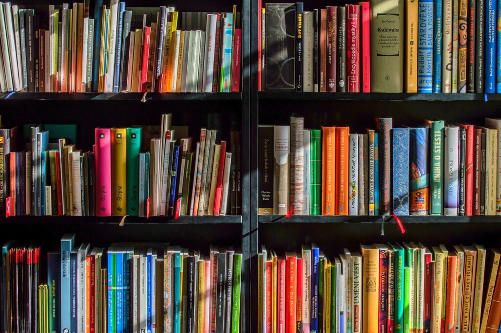 BIBLIOGRAFÍA OPOSICIONES
